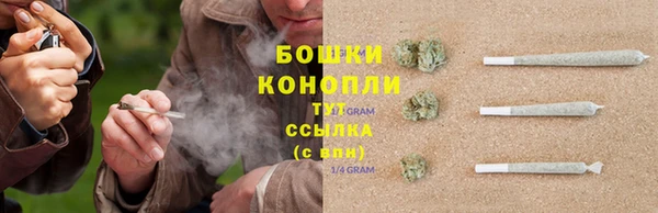 PSILOCYBIN Медногорск