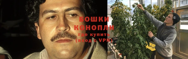 эйфоретик Михайловка