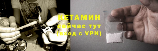 шишки Курчалой