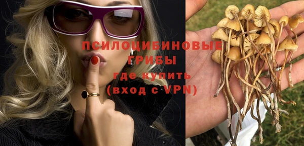 гашик Мегион