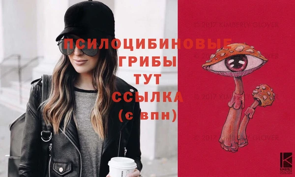 гашик Майский