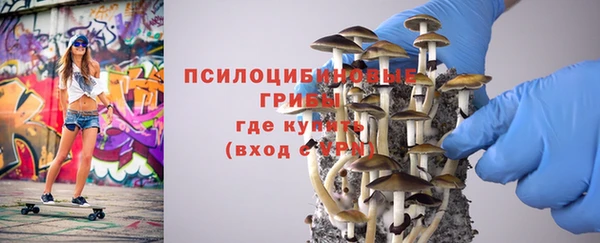 гашик Мегион