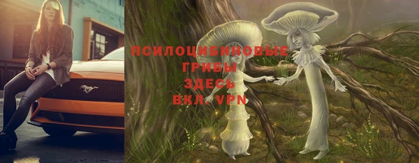 герыч Магадан