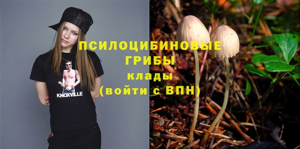 гашик Мегион